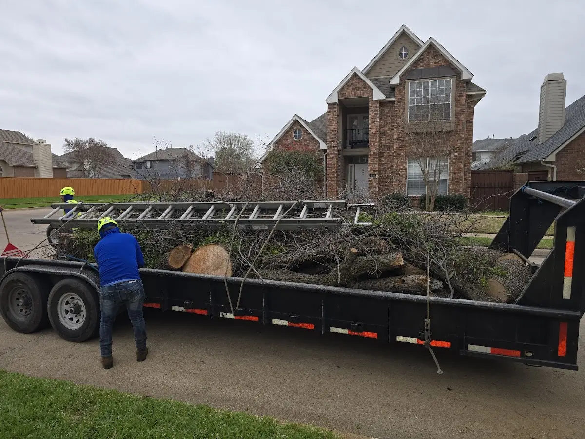Expert Tree Fertilization with proper safety equipment in Nemo